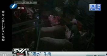 屠宰最新爆料视频播放,屠宰场内幕视频曝光,震撼揭示行业黑幕