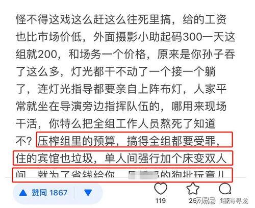 网易编剧爆料最新消息,神秘新剧即将来袭，剧情揭秘引期待