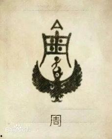 周姓最新爆料人有哪些,揭秘神秘爆料人阵容